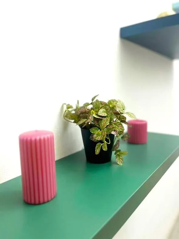 Apartment Ferienwohnung Sleep & Fly Bgy Airport-Station-Center Bergamo